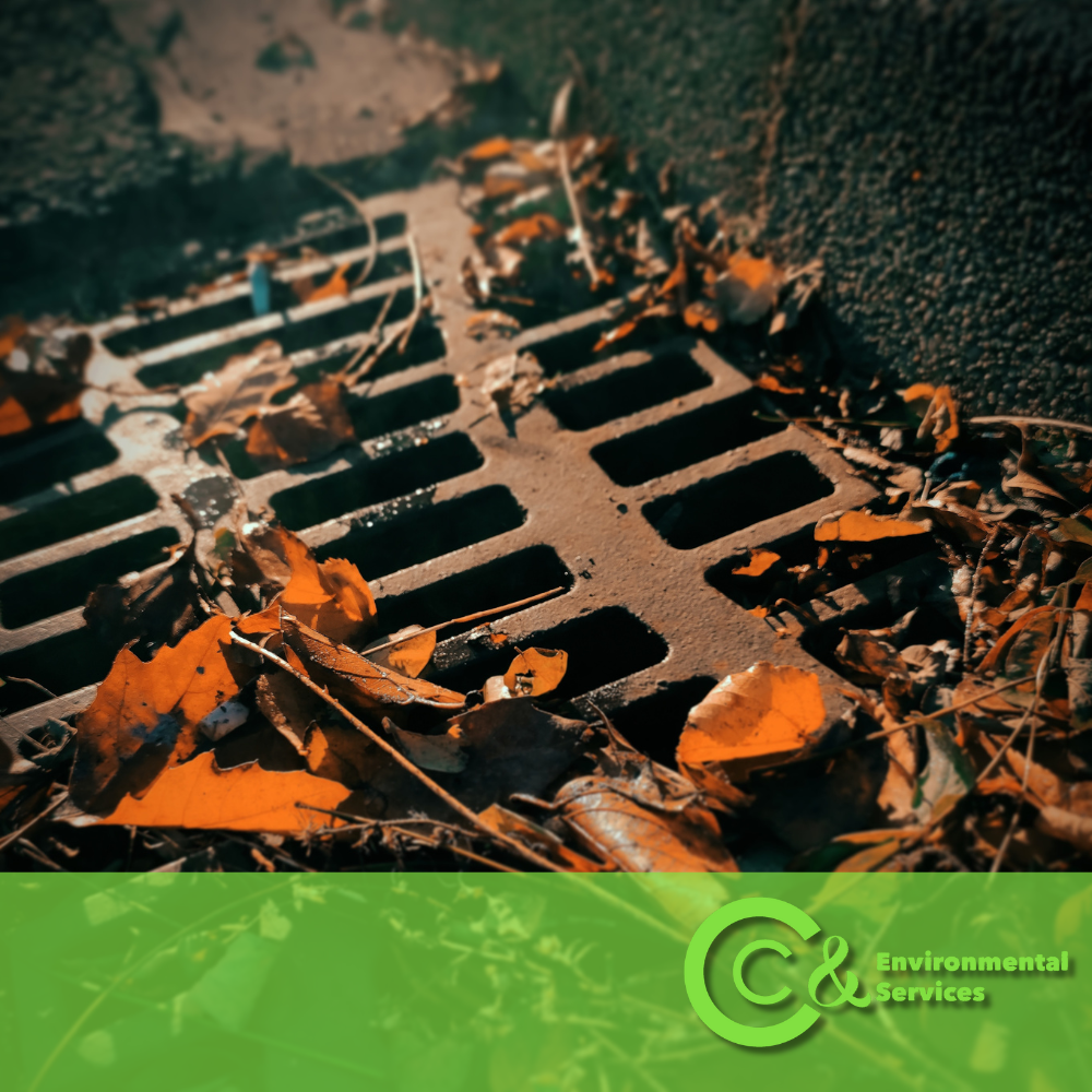 Fall Plumbing maintenance tips to protect your sewer system
