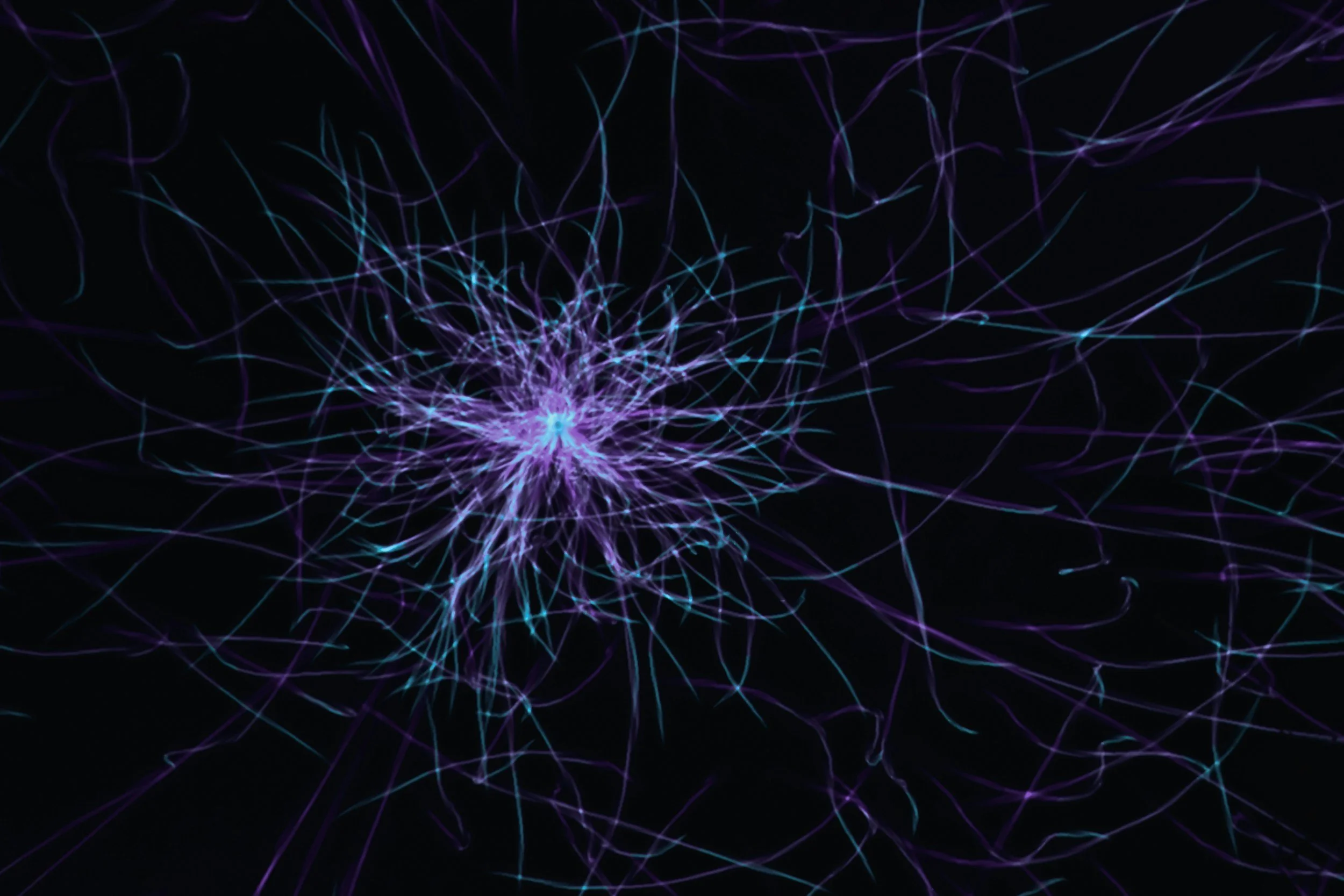 Electric sparks or neural network-like pattern in shades of purple and blue on a black background.