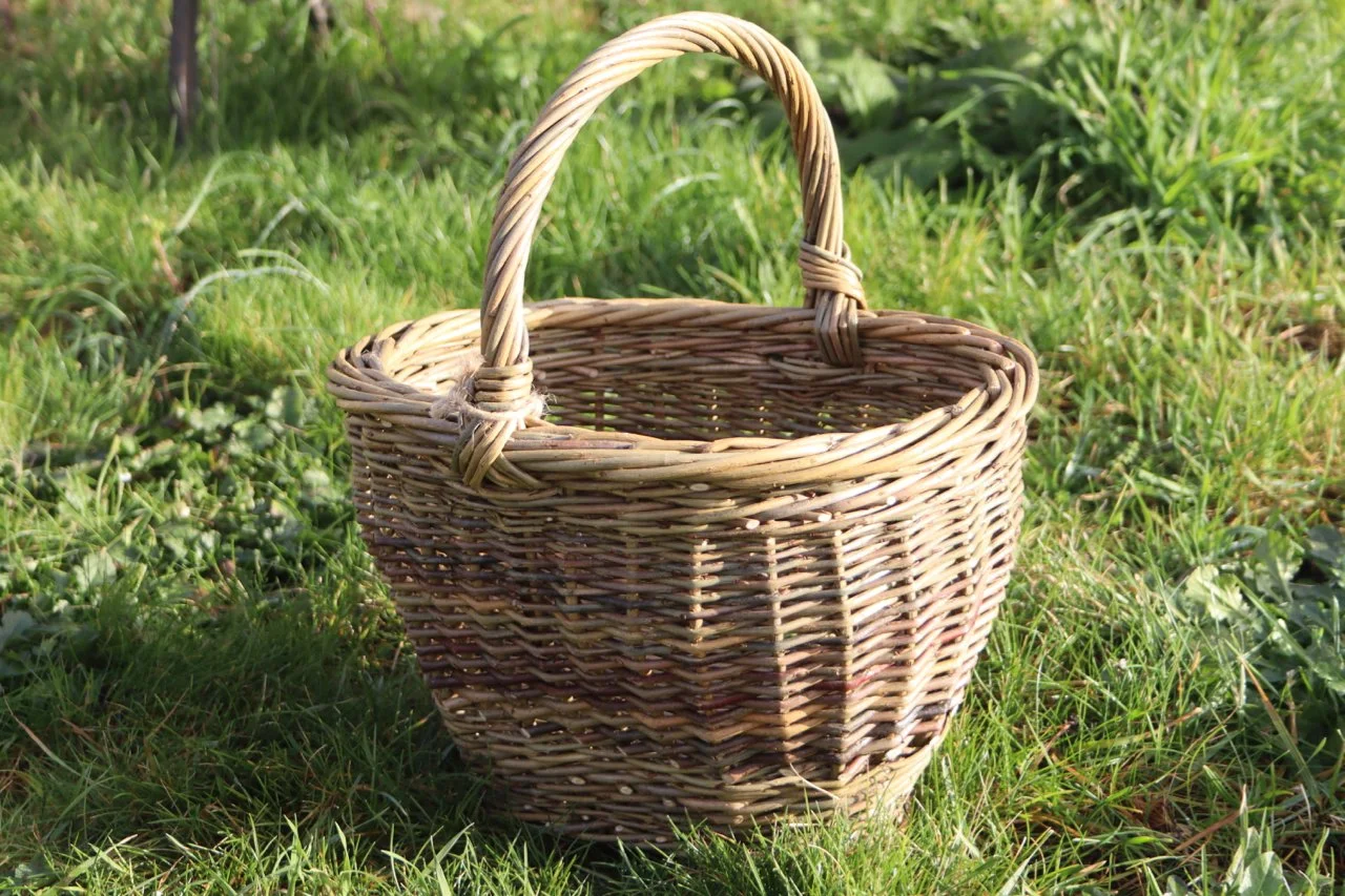 Willow Basket