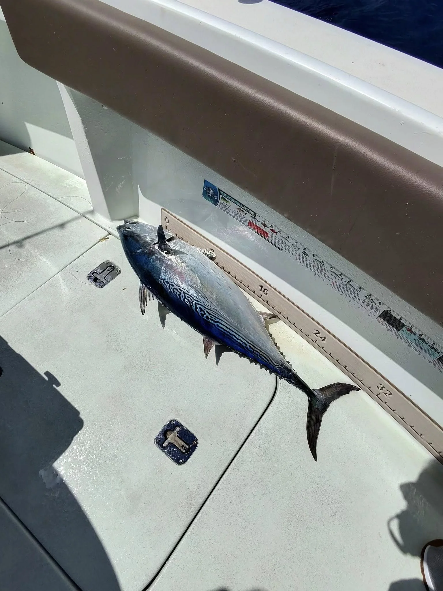 A fish lying on a white surface near a boat's interior with a measurement ruler, part of a boat's edge, and some hardware fixtures visible.