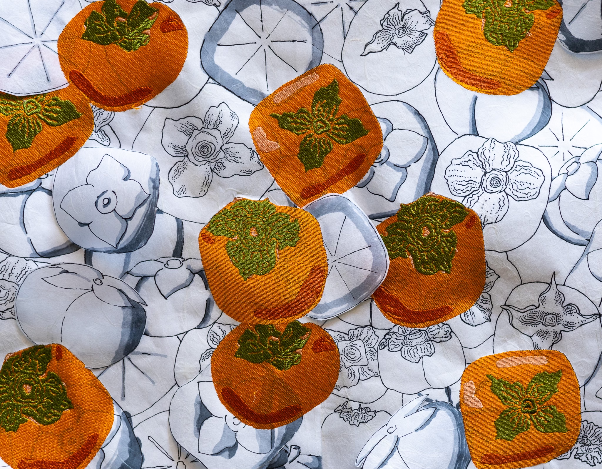 Persimmon, Persimmon