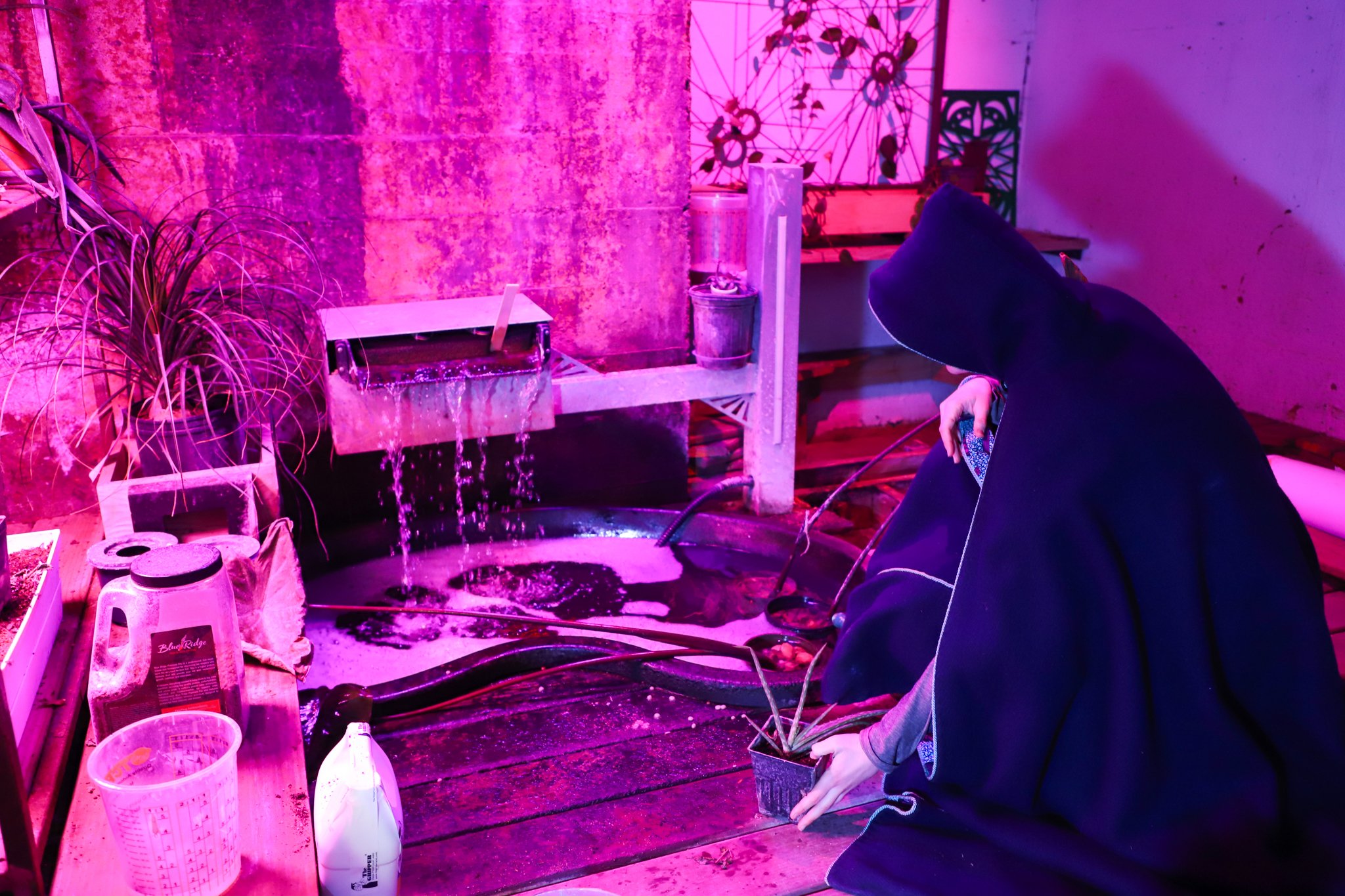 Leah McMichael⎮Harrison Center Dungeon Gardener