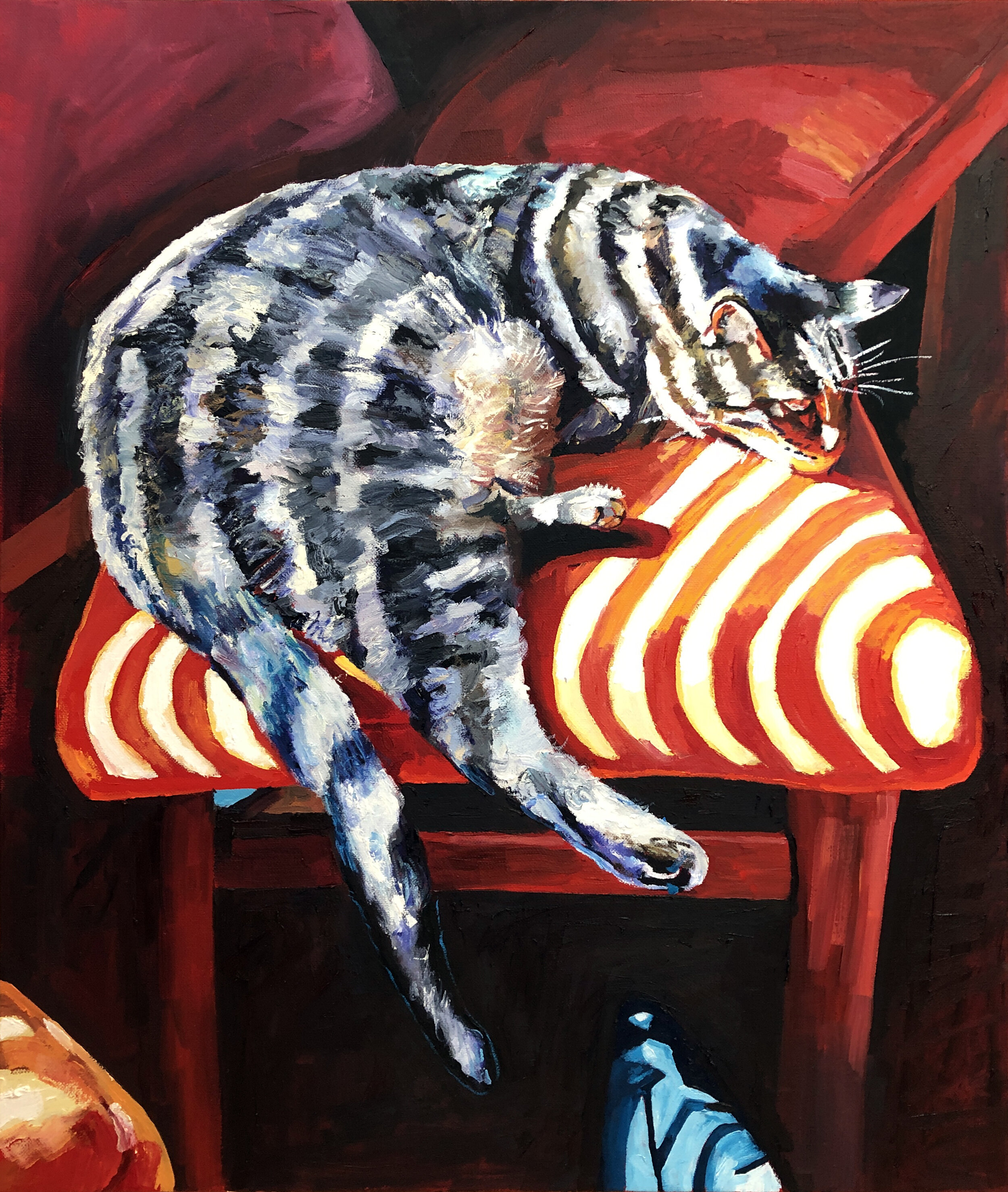 Felines &amp; Canines