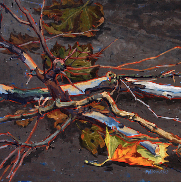 Sycamore Fall, Barbara Knuckles
