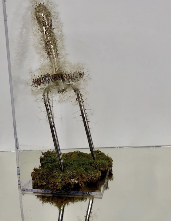 Screen Shot 2020-09-14 at 8.41.08 AM.png