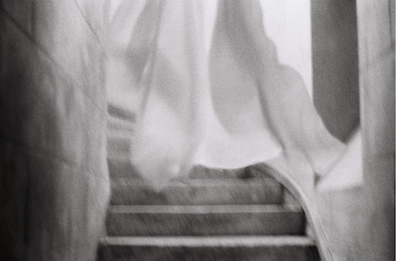 Collaboration with Abi Ogle, Chateau Orquevaux, France, April 2019