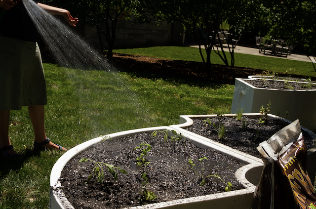 Screen Shot 2019-07-30 at 10.23.42 AM.png