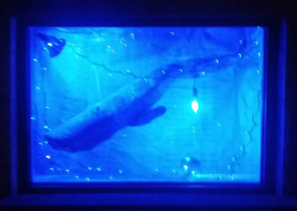 Second Place winner, Johnny McKee