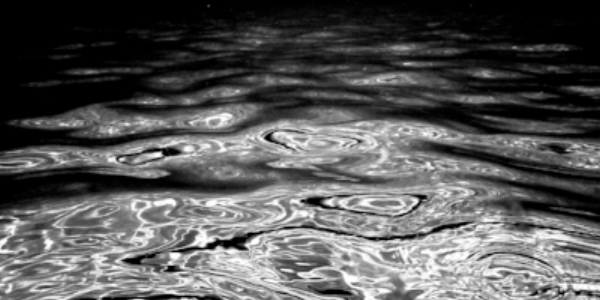 Reflecting with a Buddy, Darrell Staggs