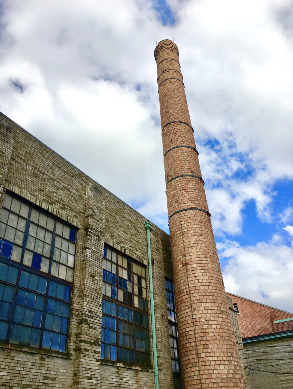 WHAT CAUGHT JOSIE’S EYE