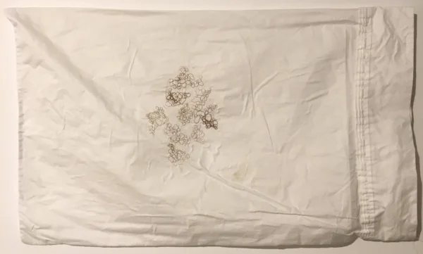 Vilomah (against the natural order)