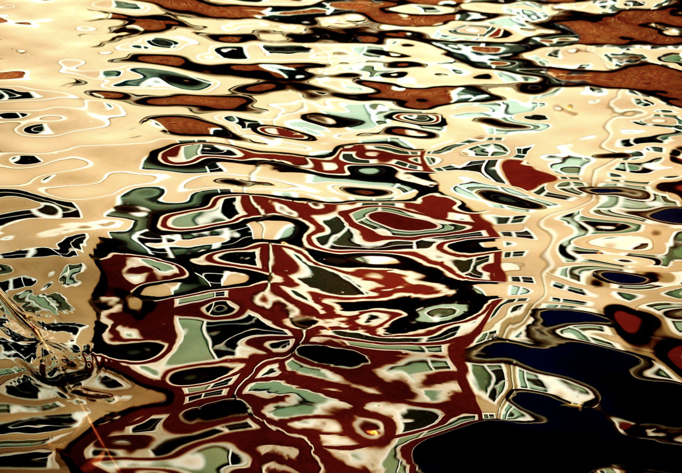 Screen Shot 2018-01-25 at 1.38.48 PM.png