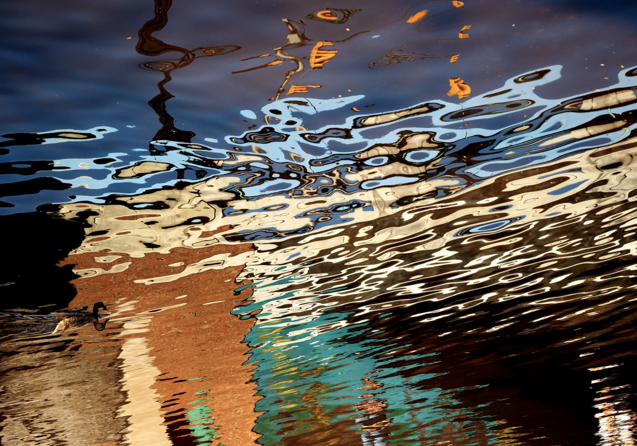 Screen Shot 2018-01-25 at 1.39.07 PM.png