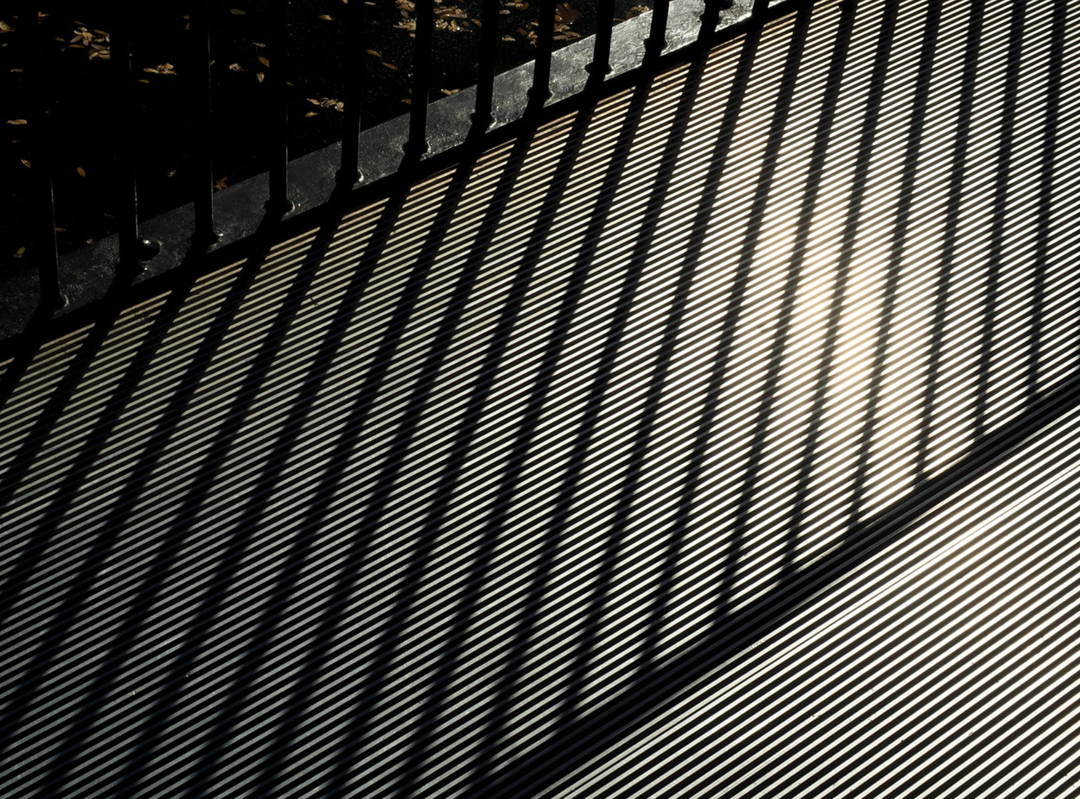 Captured in an Instant