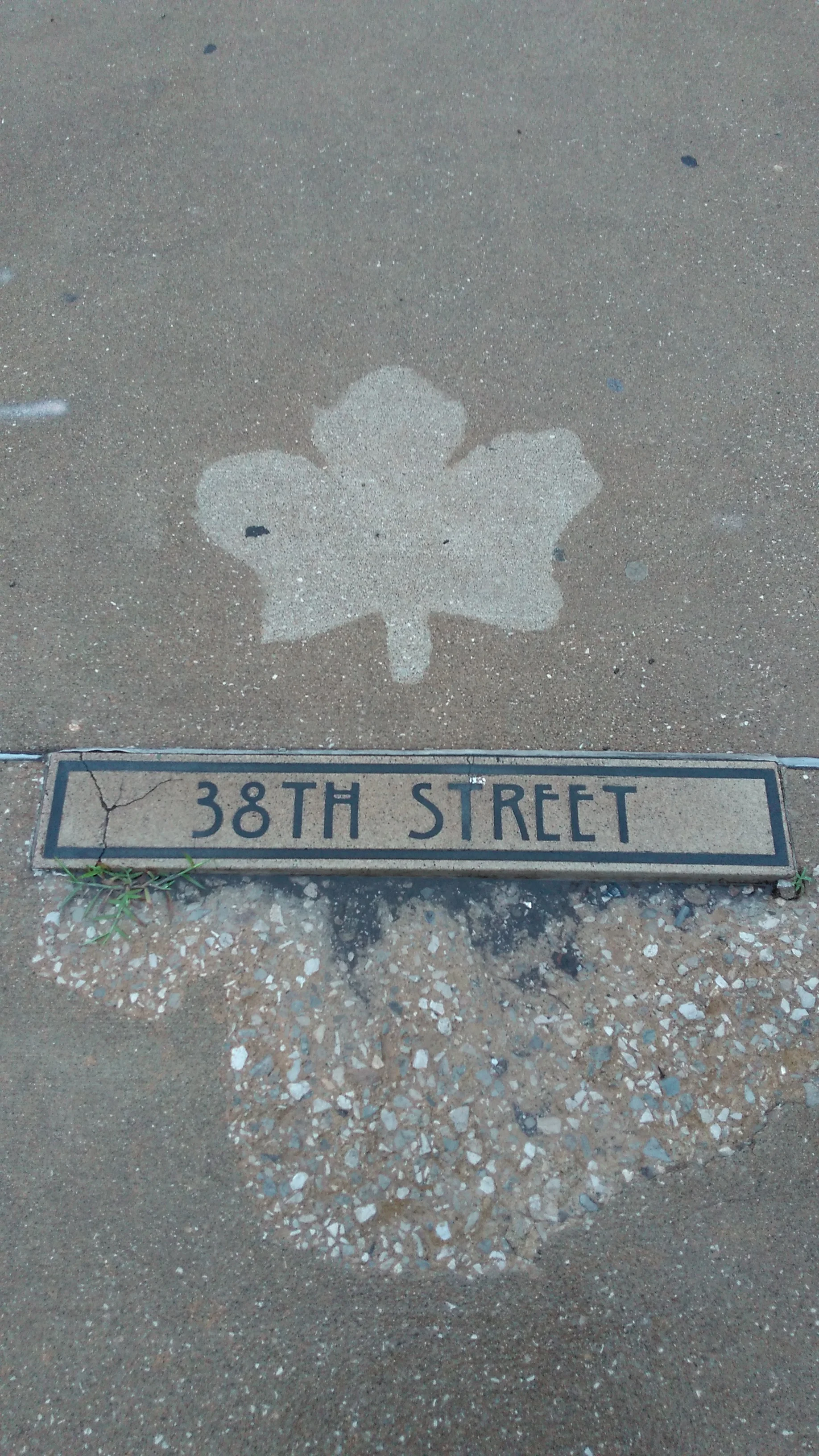 Some Maple Crossing Music