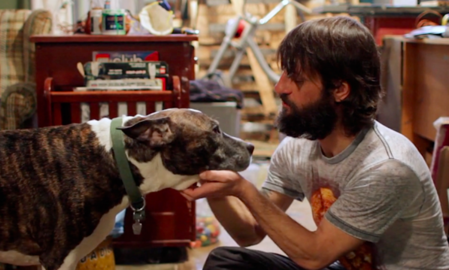 Studio Dogs of the Harrison Center Pt.2