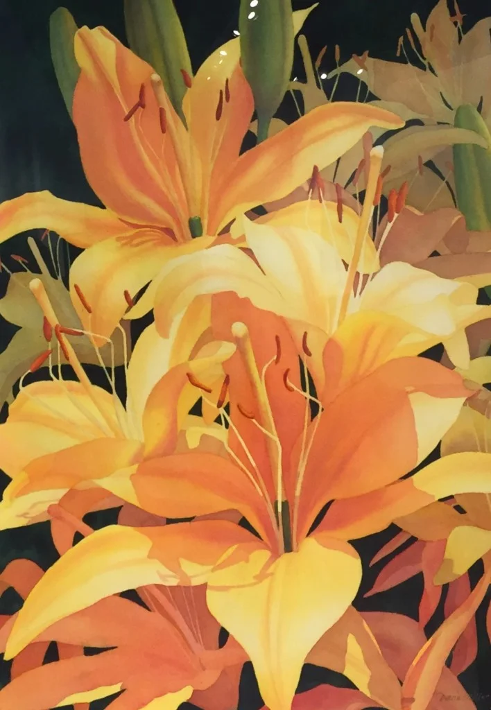 33819178556_2d8b21f4e9_o