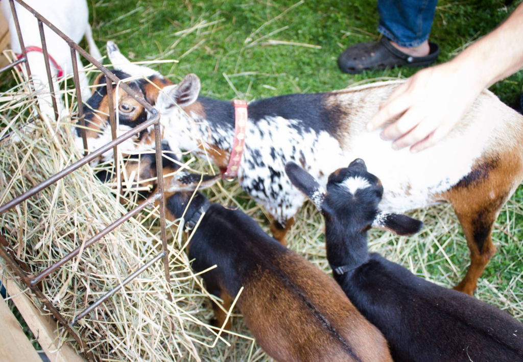 Screen Shot 2017-03-23 at 2.32.44 PM