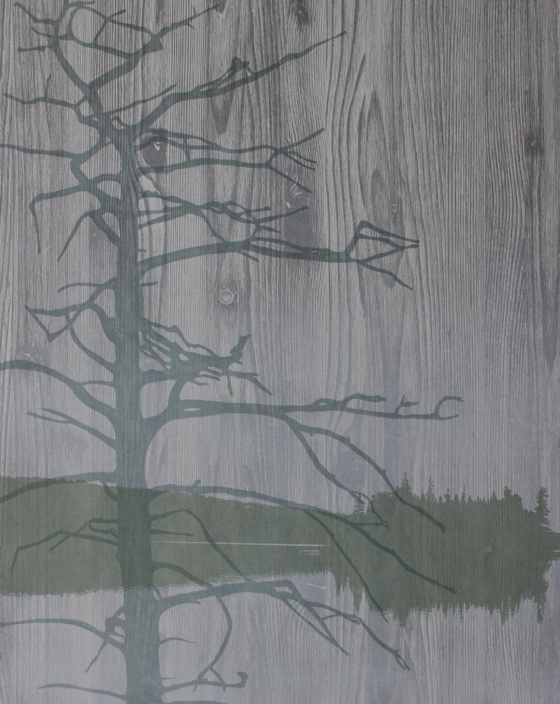 Screen Shot 2017-02-28 at 11.05.10 AM