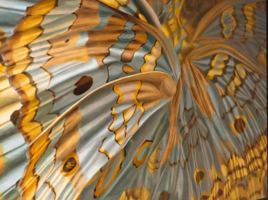 Moths Alight, Butterflies in Flight