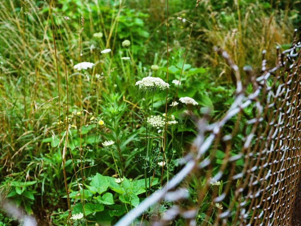 photo for last episode copy