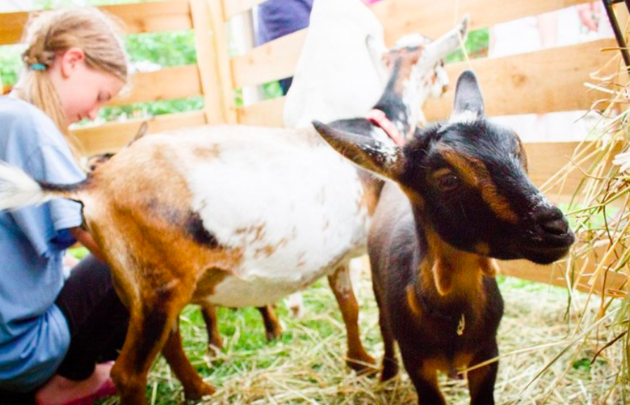 FoodCon sponsor adds new perspective