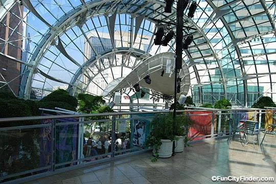 10919046_10155235415605109_9043855620452156494_n