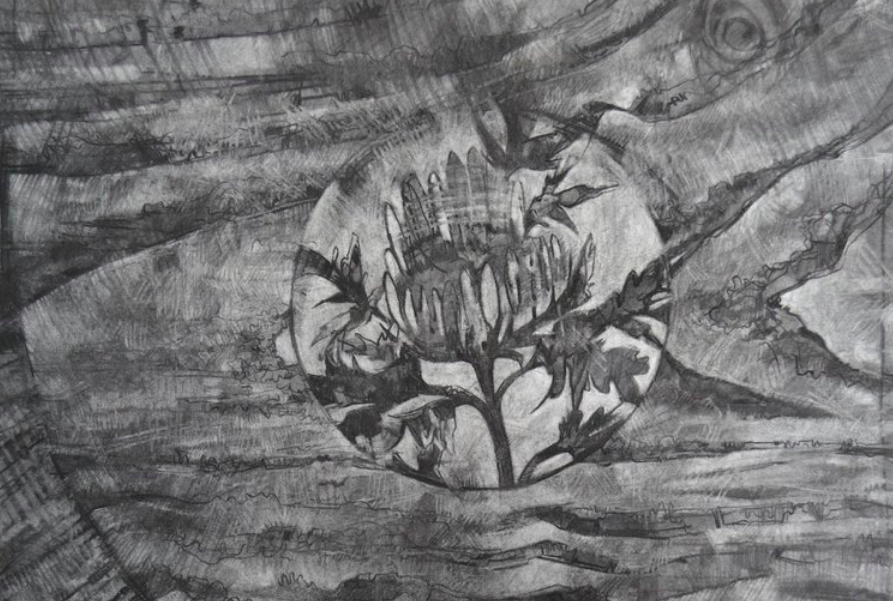 New Work by Maureen Forman