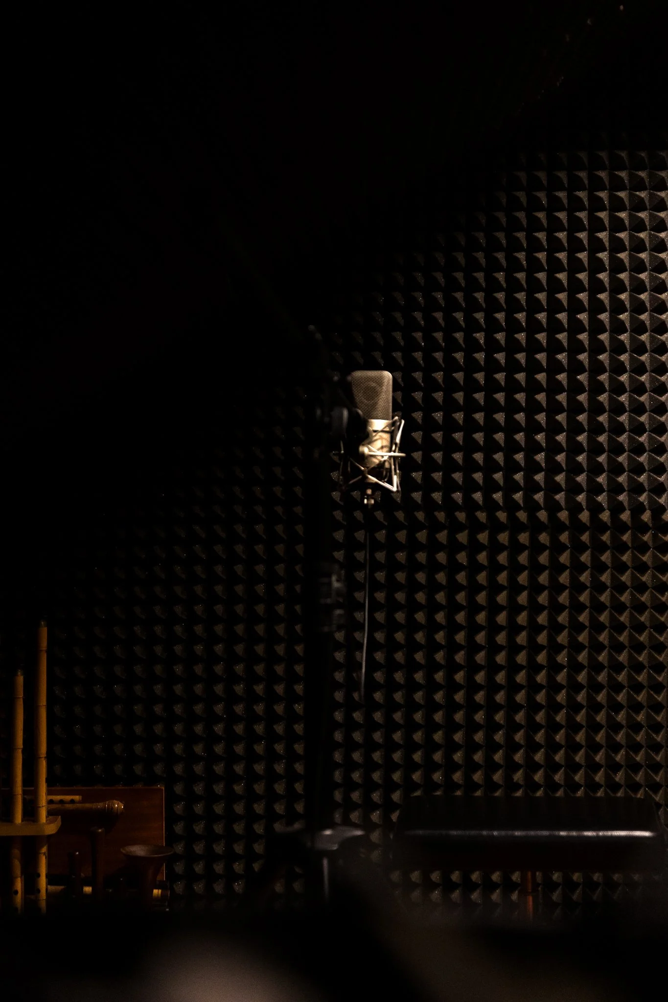 Aufnahme in einem Tonstudio mit AKG-Mikrofon vor schallabsorbierenden Kacheln.