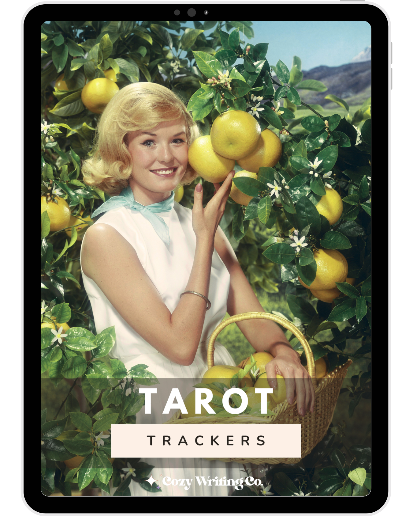 A smiling woman picking yellow citrus fruits from an orange tree with white flowers in an orchard, holding a basket of fruit.
