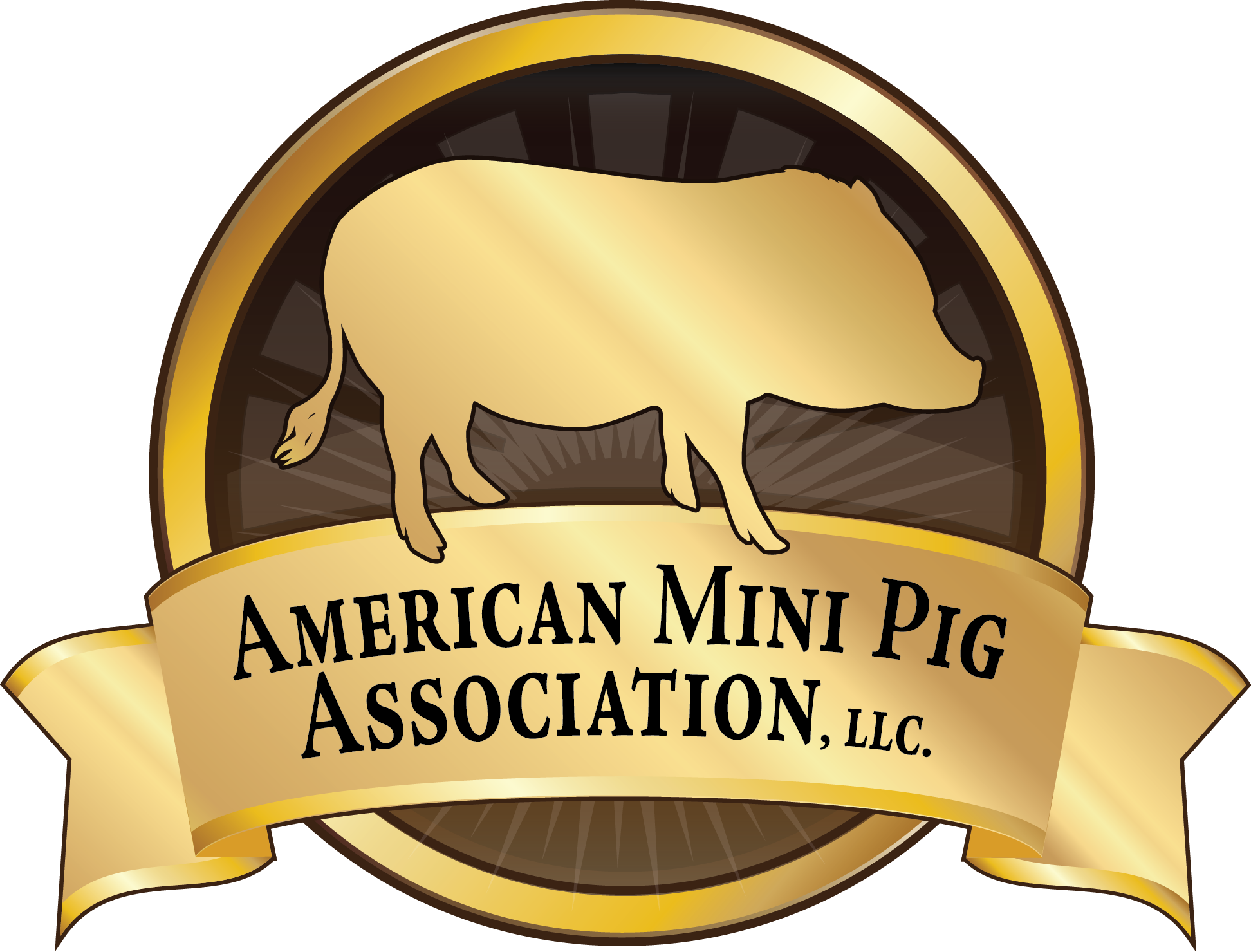 American Mini Pig Association Logo