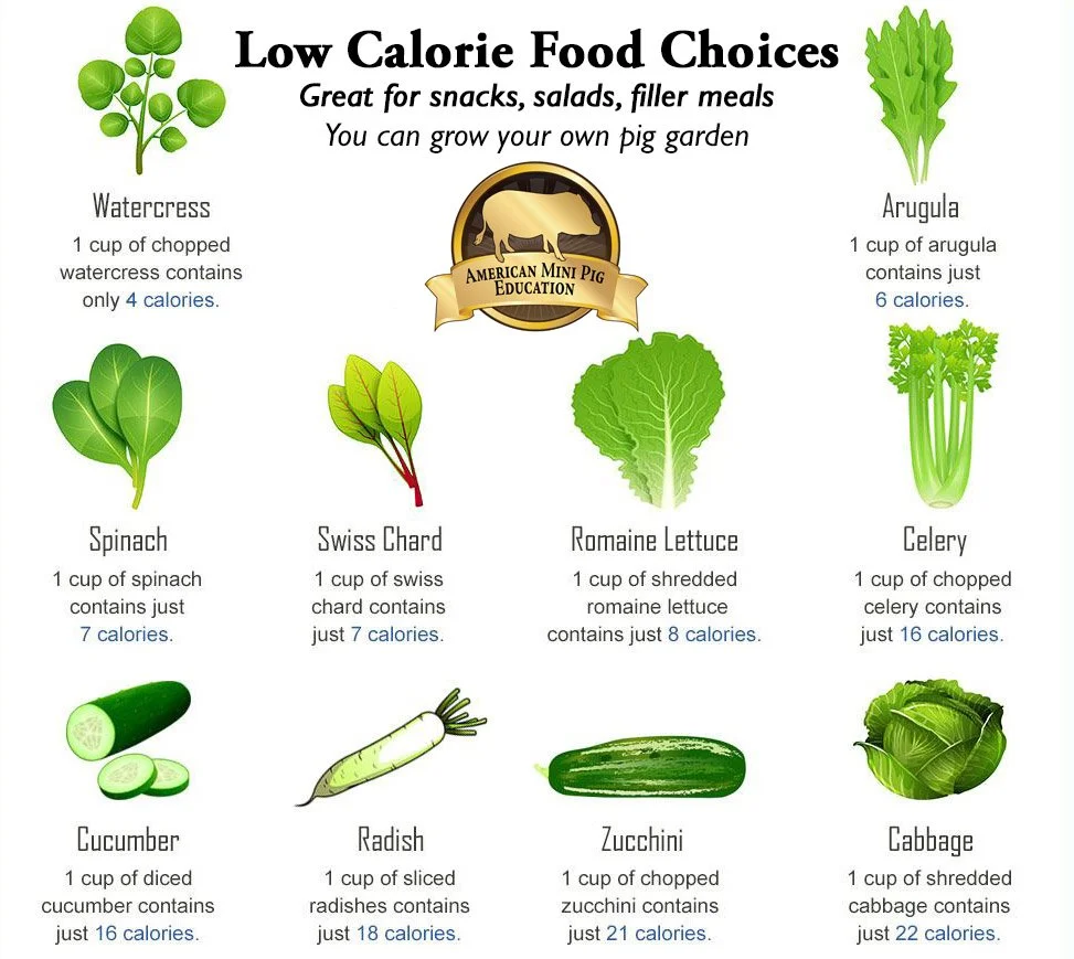Low Calories Food Choices