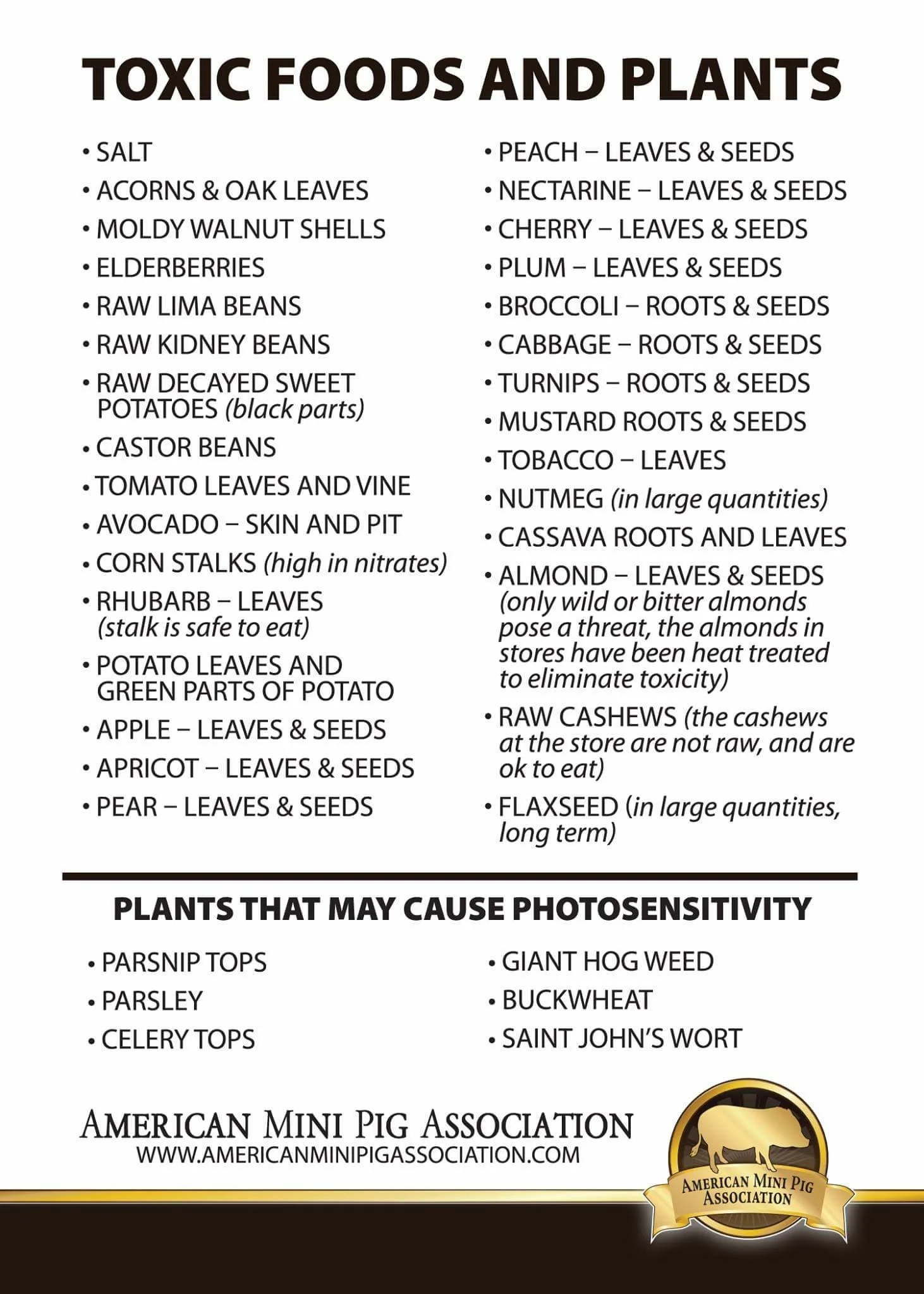 AMPA  Mini Pig Toxic Plants and Foods