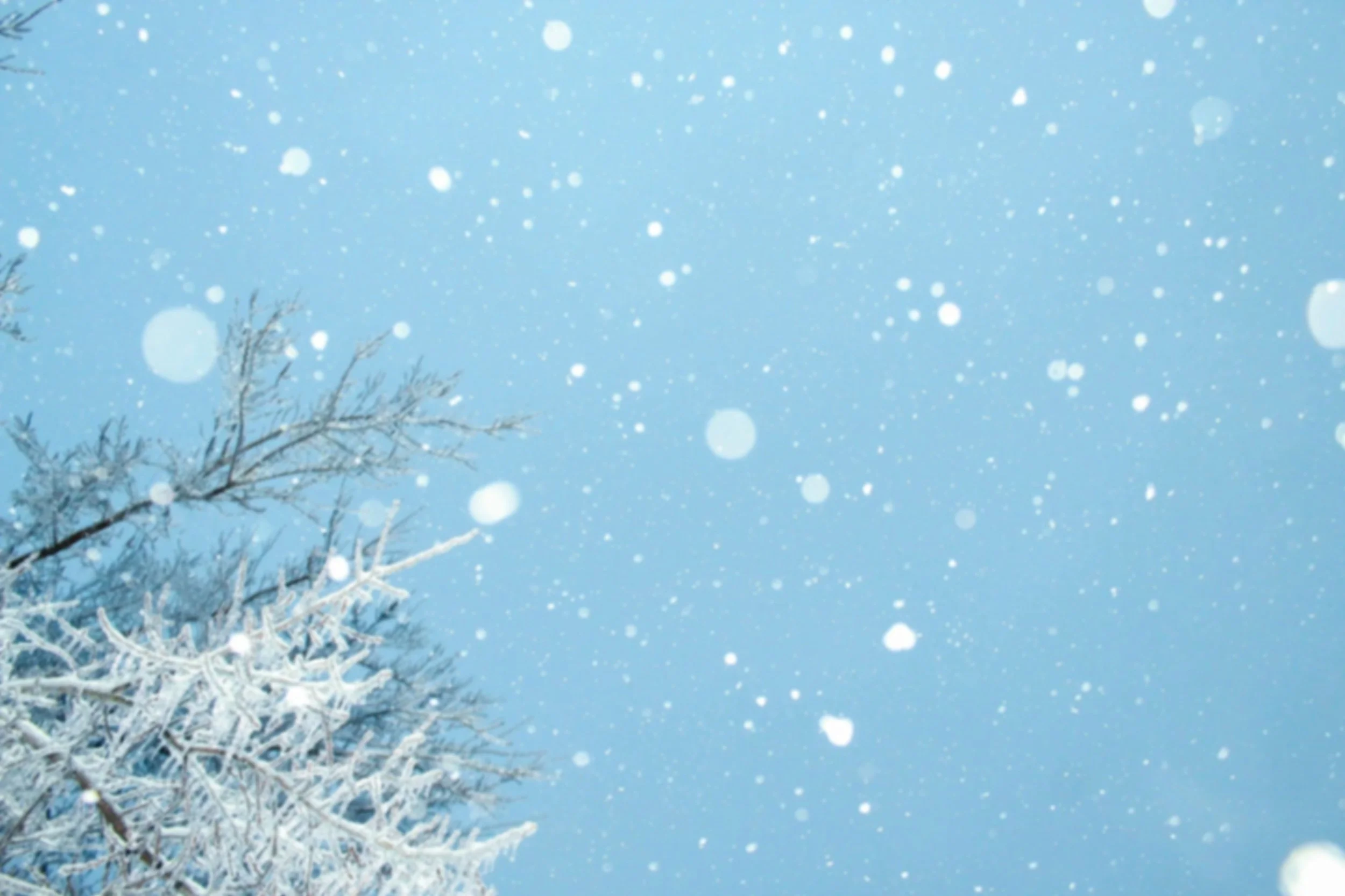 Snow falling against a light blue sky with snow-covered tree branches visible in the lower left corner.