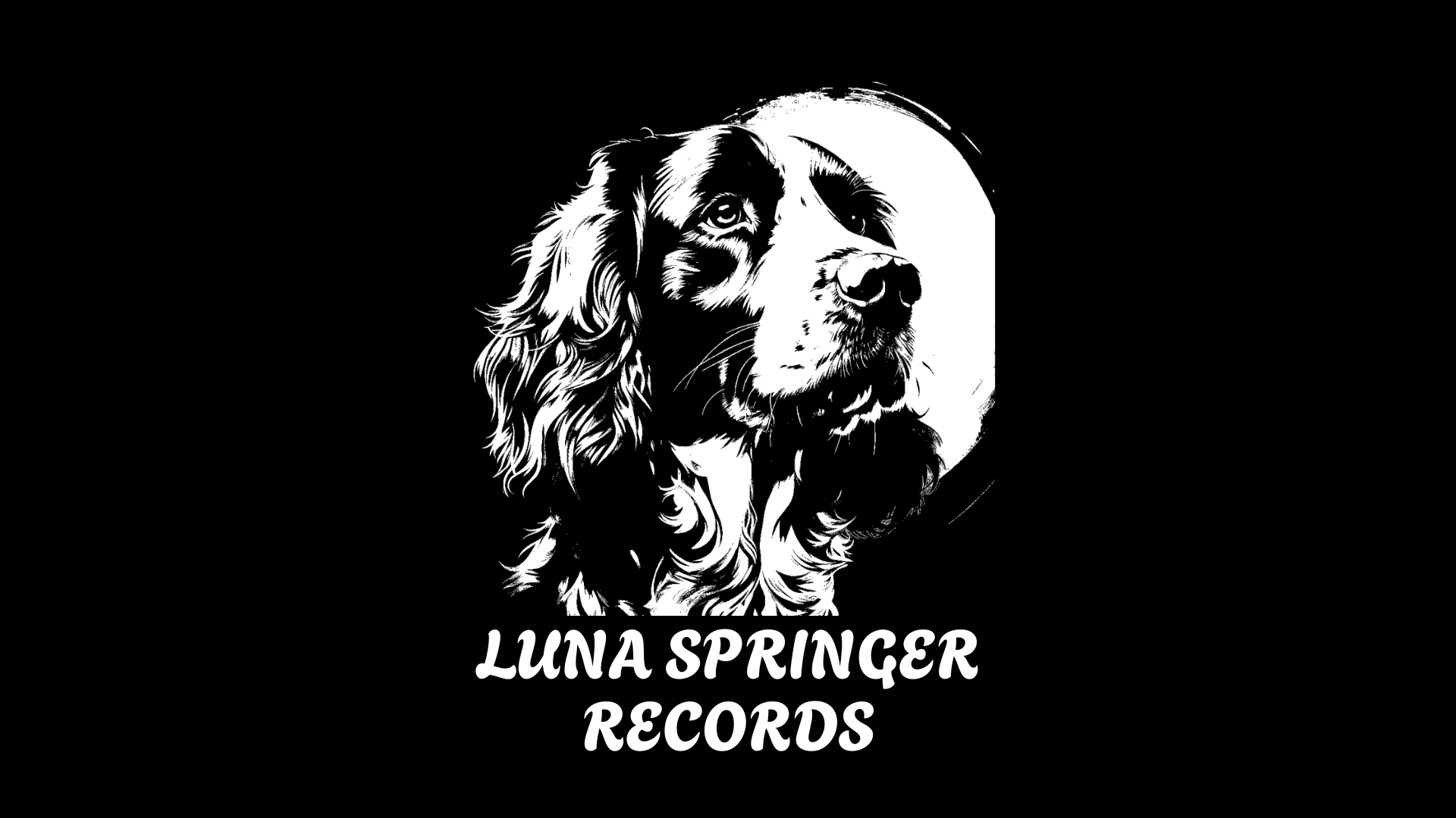 BIG NEWS – MUSIC HAS ARRIVED AT LUNA SPRINGER!