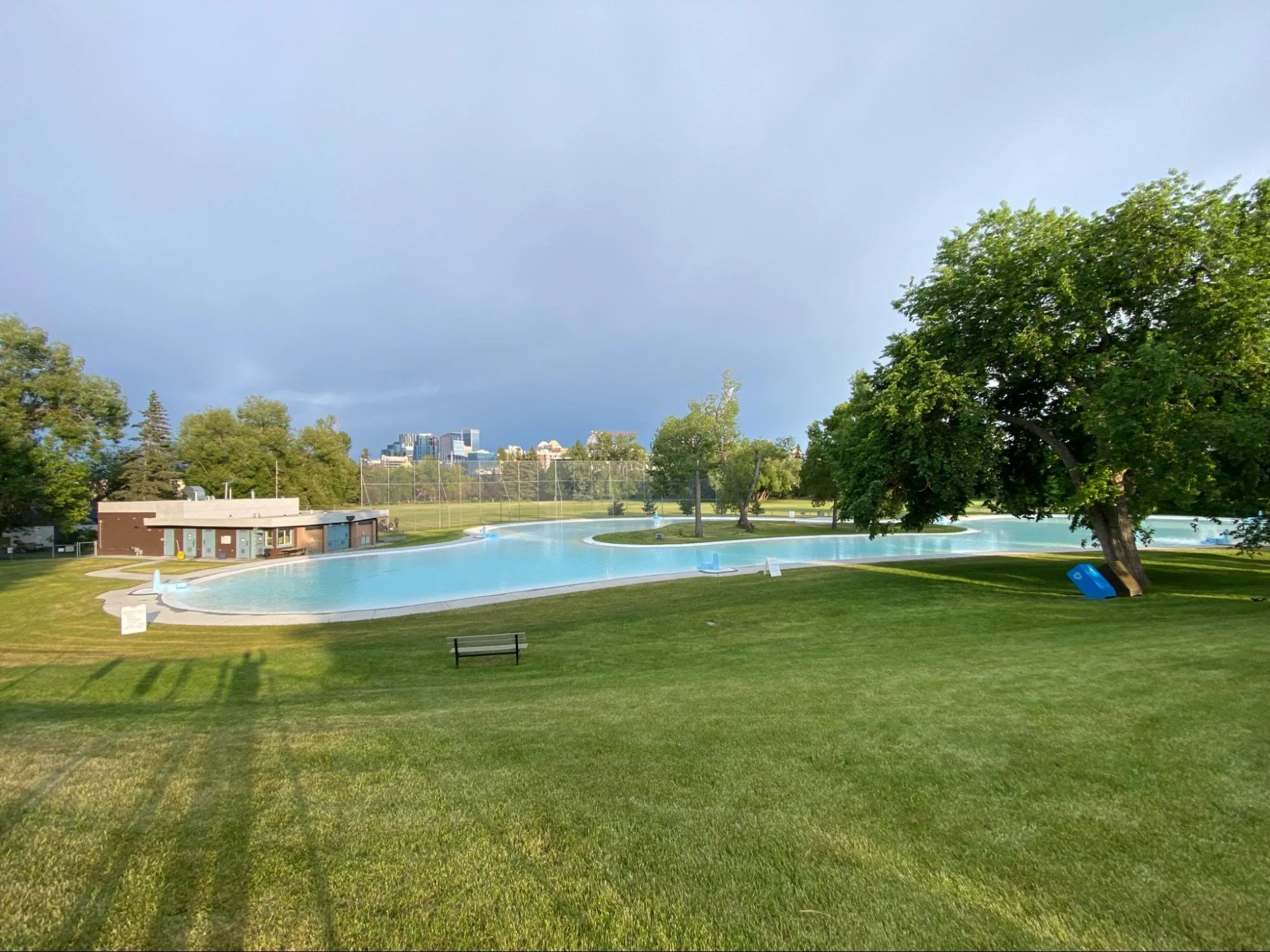 We need more trees in Calgary!