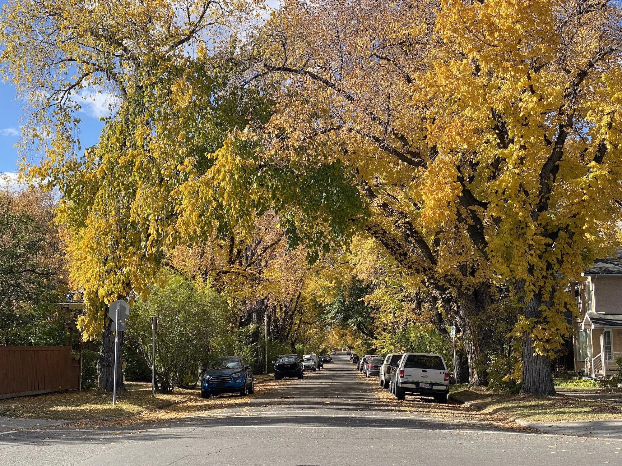 Smart Growth, Strong Neighbourhoods