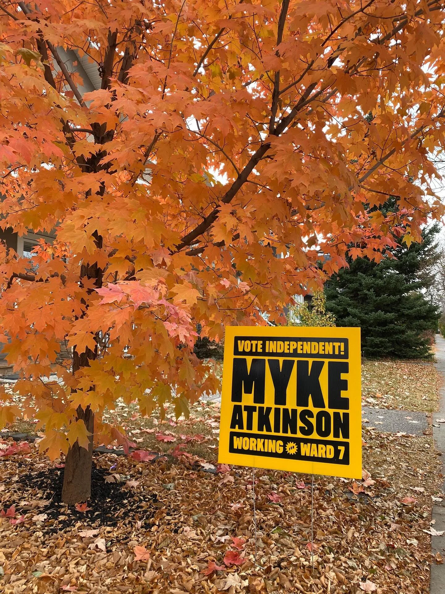 We just delivered the last lawn request. A huge thank you to the 475 (!!) people who committed to championing this campaign by wearing their yellow and black loud and proud! 🟨🖤