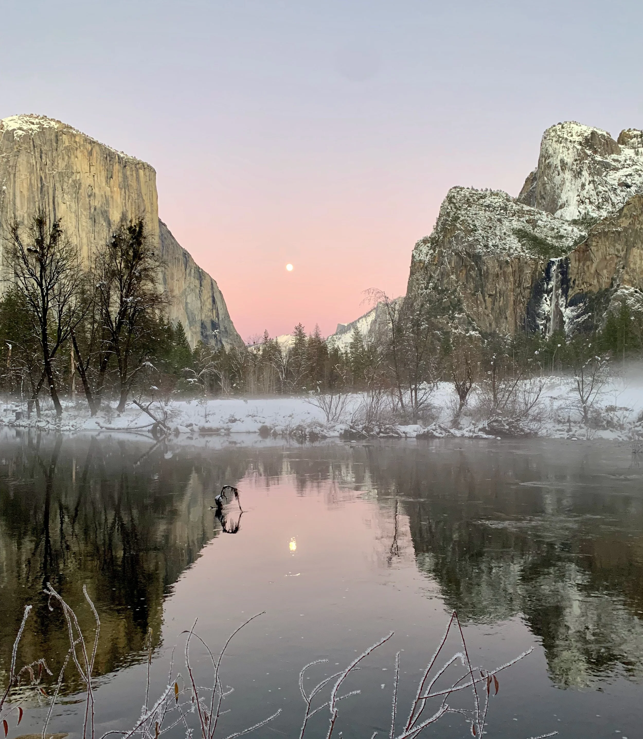 Winter Renewal Circle