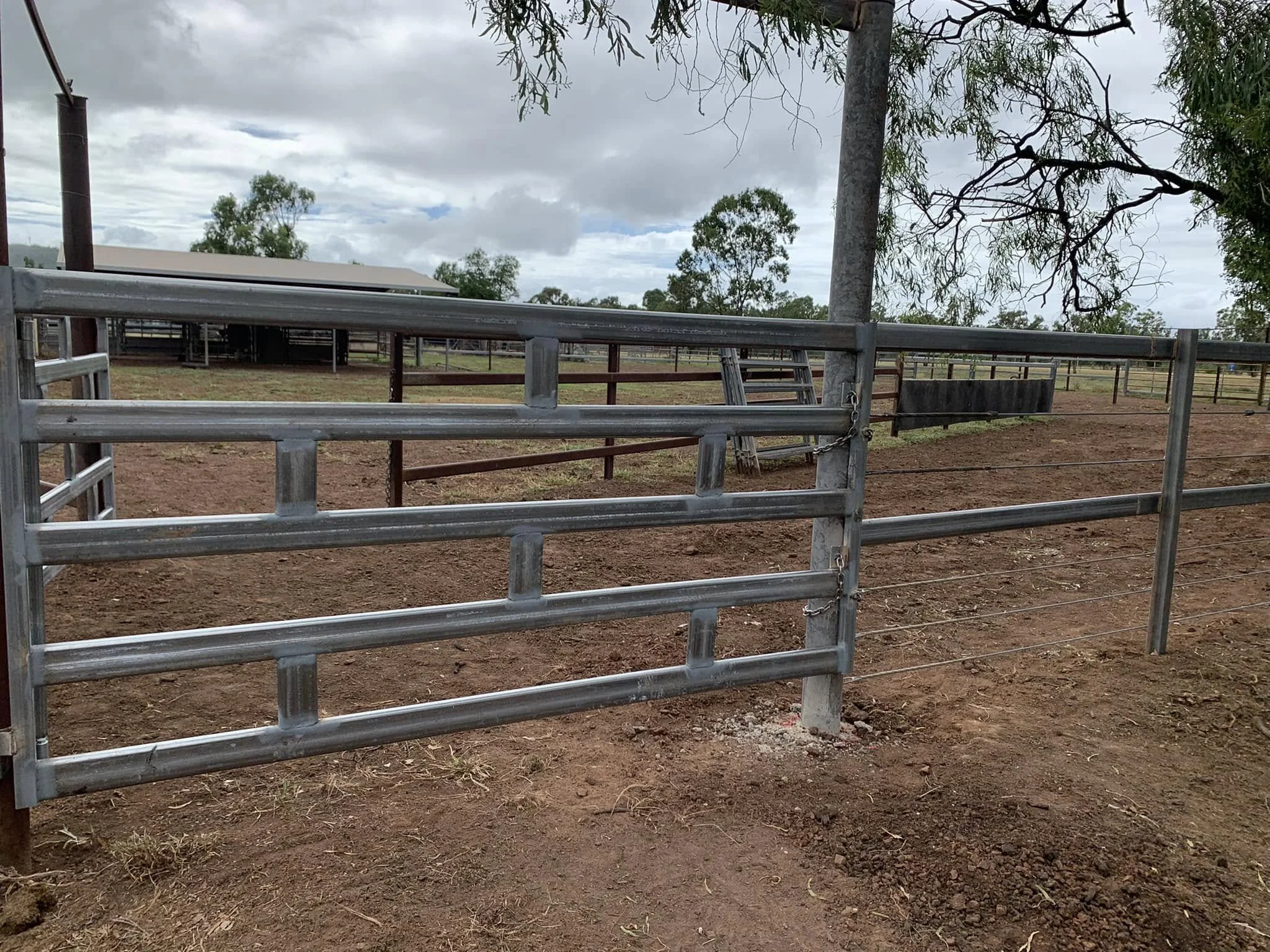 Silver metal fencing and gates in an outdoor farm or ranch, with dirt ground, trees, and cloudy sky in the background.