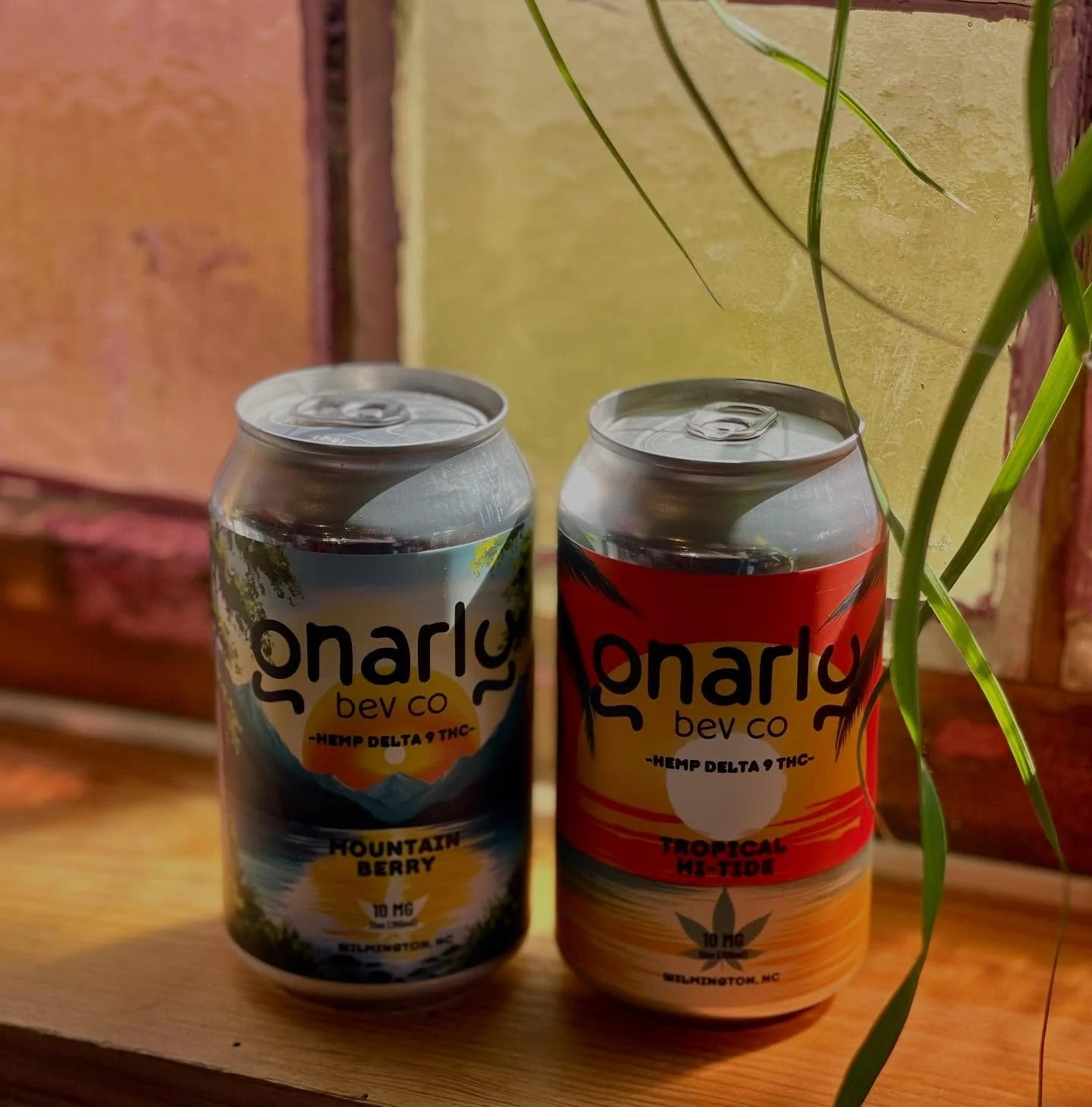 New drop is here! Local + amazing. Grab singles or build your own 4-pack with mix &amp; match flavors. ✨
.
.
.
.
#WilmingtonNC #DrinkLocal #SupportLocal #GnarlyBevCo  #SipLocal #ILMdrinks #ShopLocalILM #southfrontdistrict #currentcoffeeILM