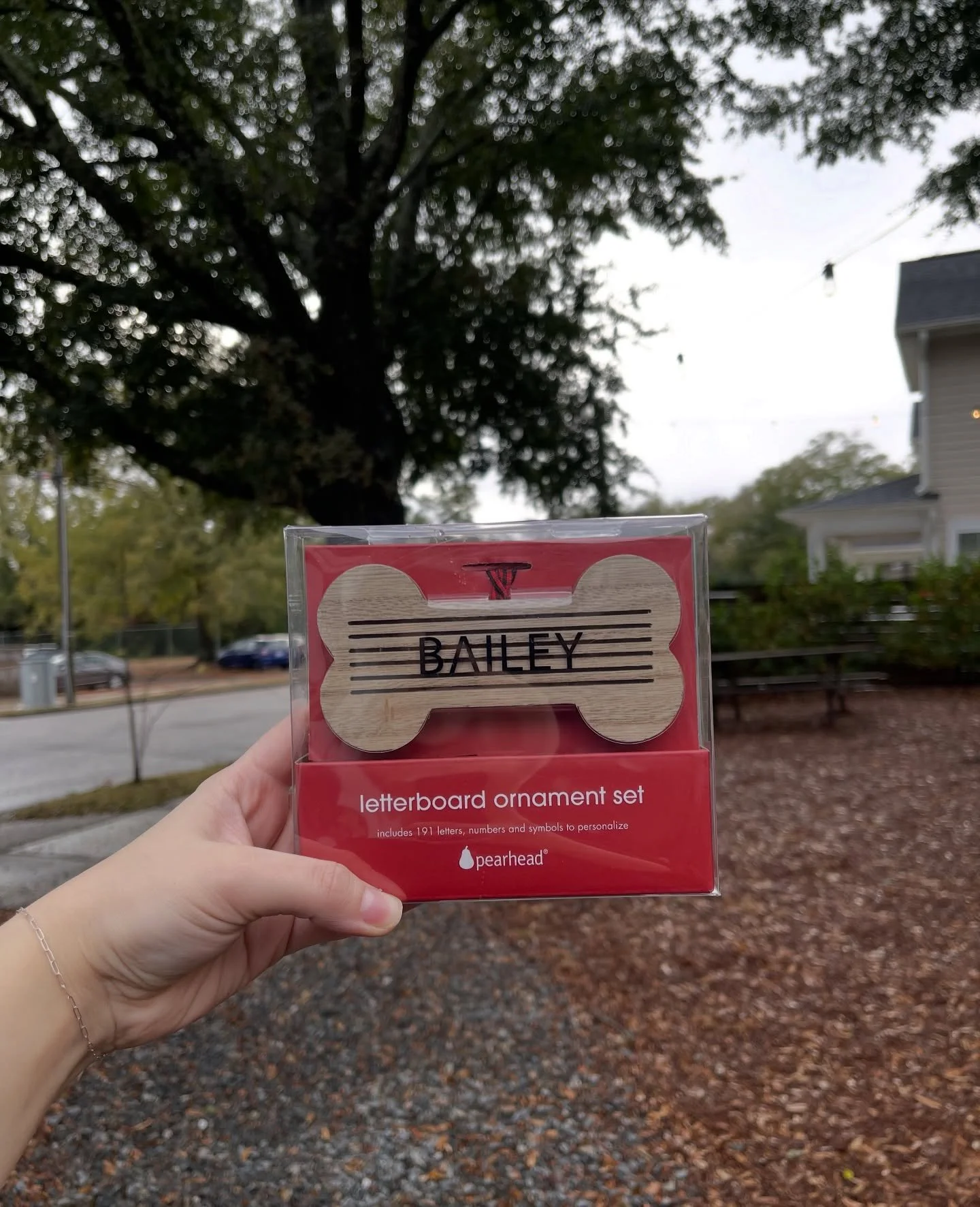 Perfect for your Christmas tree! 🎄🐾 Comes with 191 letters so you can personalize your pet&rsquo;s ornament! 🐶