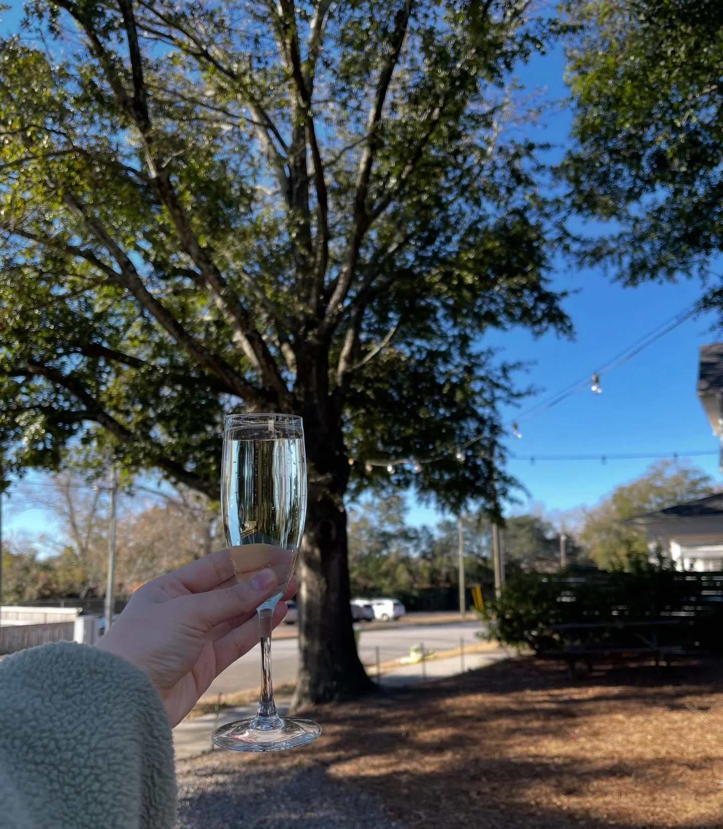 Happy New Year from Current Coffee ✨
What a year&hellip; truly. So grateful for each and every one of you for supporting this little girl&rsquo;s dream. Couldn&rsquo;t have done it without you 🥂🤍
Especially @danichaeyart , who became my friend and 