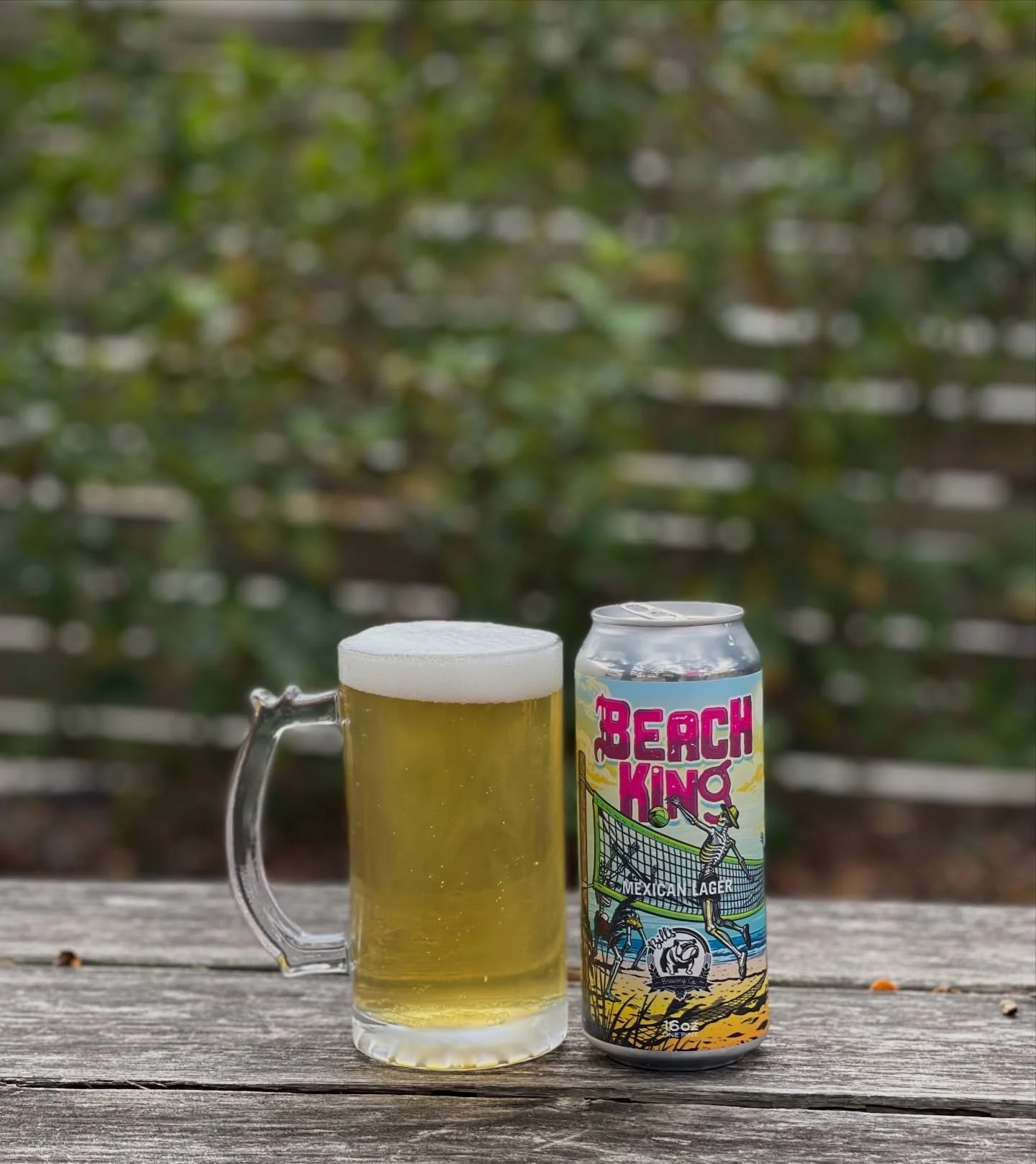 Enjoying the sun with a cold beer in hand! ☀️🍺 #currentcoffeeilm