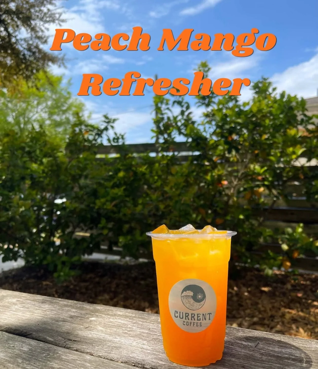 Introducing our new refresher Peach Mango 🍑🥭 ready for the season! #currentcoffeeilm #southfrontdistrict