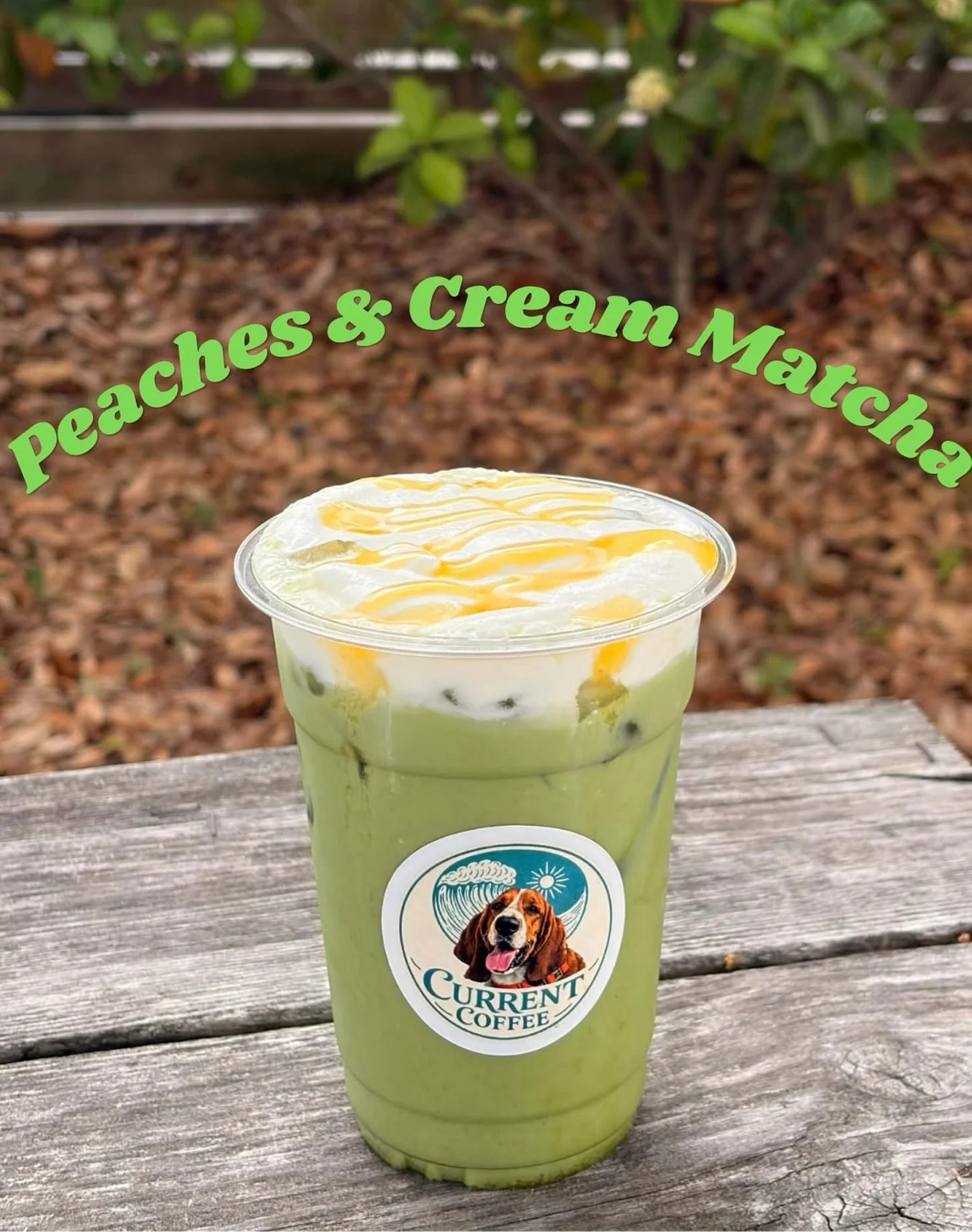 We dropped some summer specials already! 👀☀️ #currentcoffeeilm