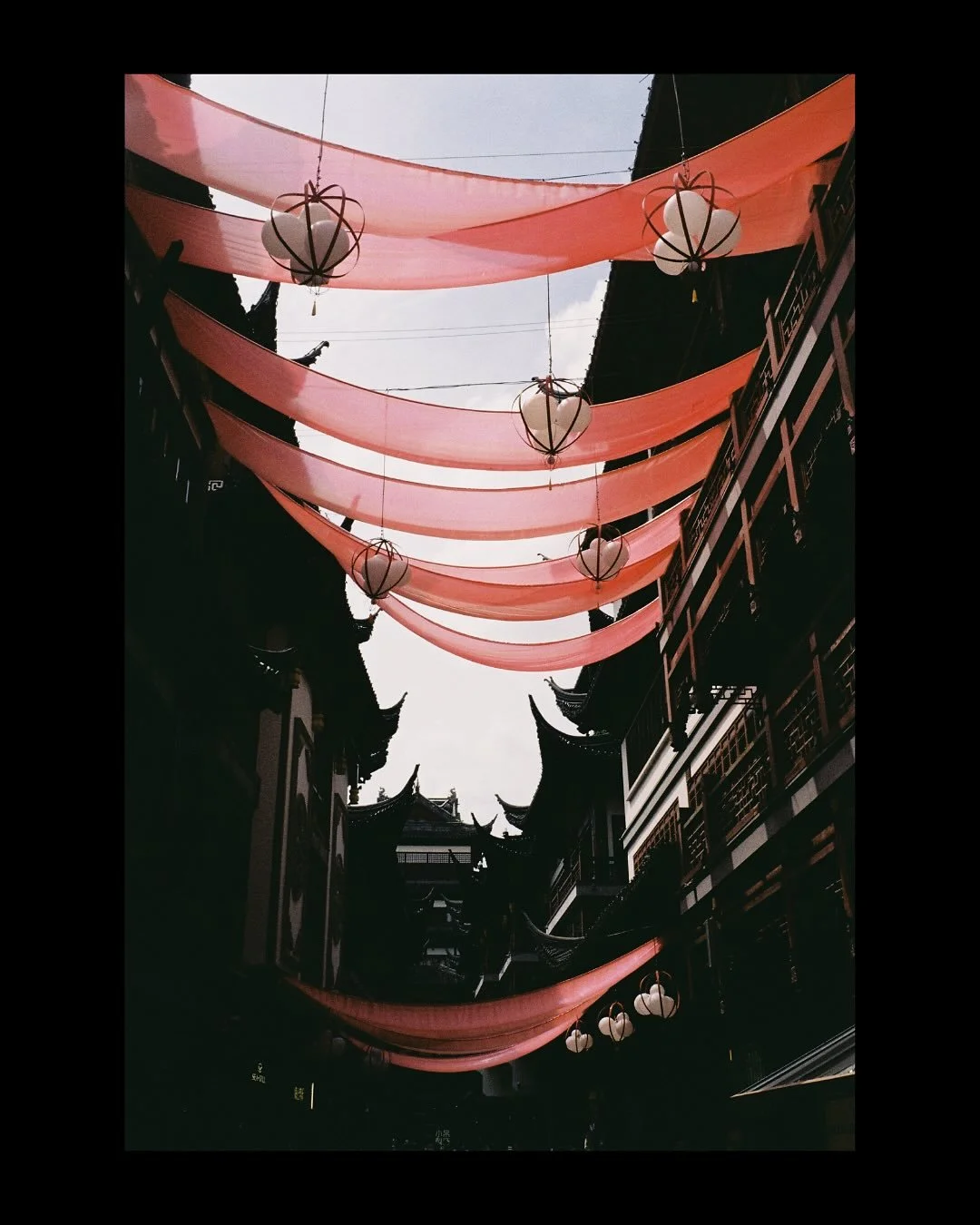 🇨🇳 Rolls from China 

Fragments d&rsquo;un roadtrip argentique - un regard, &agrave; mi-chemin entre journal visuel et carnet de route.

📷 35mm only. No edit, just the grain. 🎞️

#RollsFromChina #FilmPhotography #ChinaOnFilm #AnalogTrip #FilmIsNo