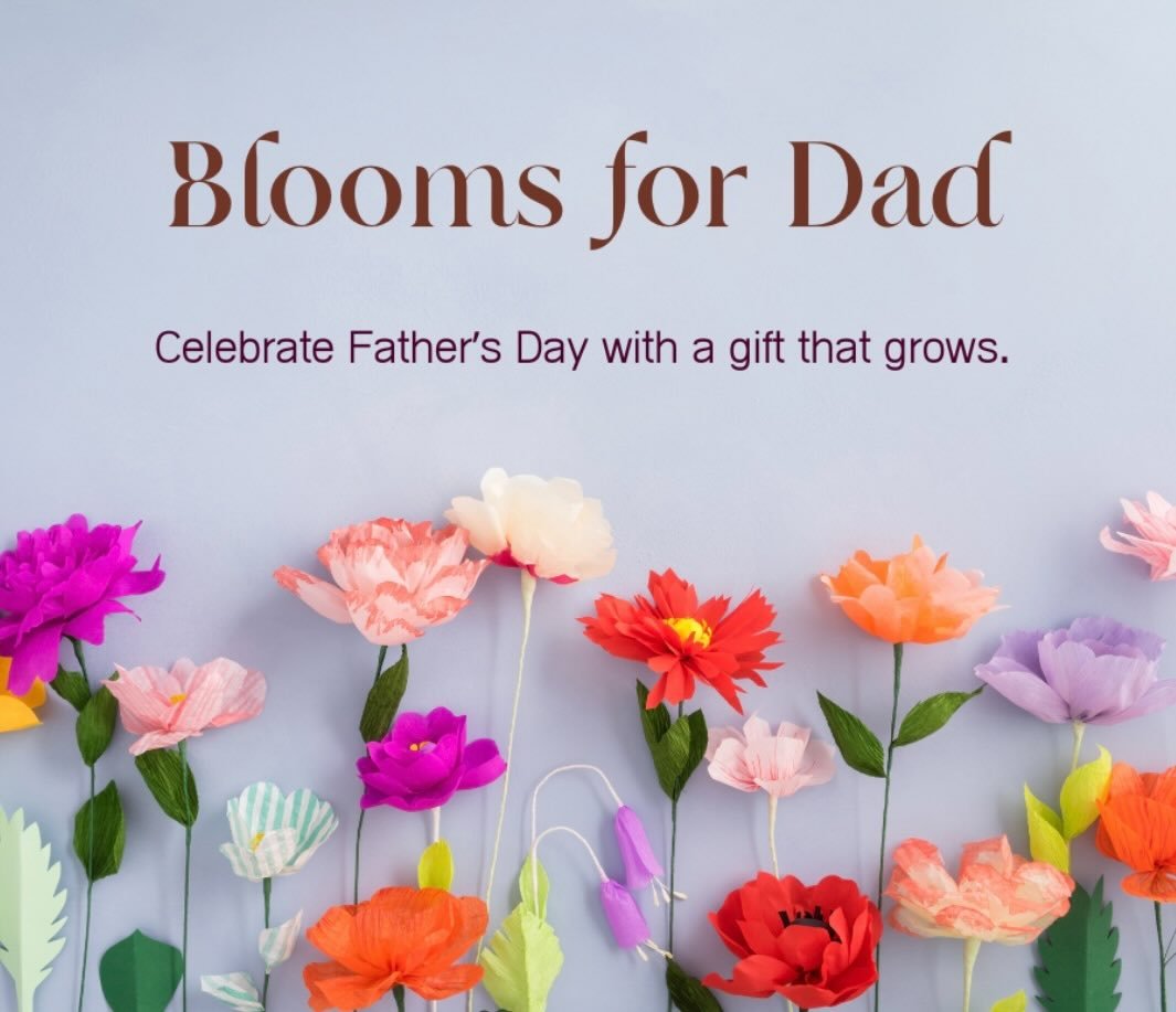 $50 donations helps plant blooms in the park in Dad&rsquo;s honor - a great gift for a dad who loves the park and green spaces in the city.