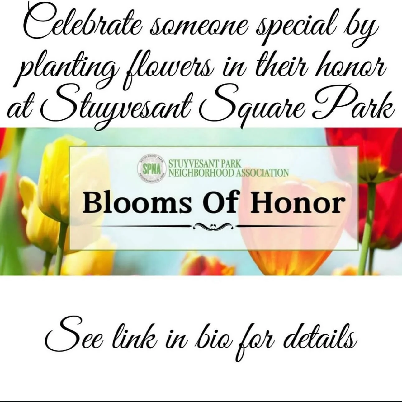 Celebrate Someone Special with Flowers planted at Stuyvesant Square Park
Honor a loved one by donating $50+ to SPNA, and we&rsquo;ll plant flowers in their name to brighten the park and support its beauty.

A personalized e-card will be sent to you o
