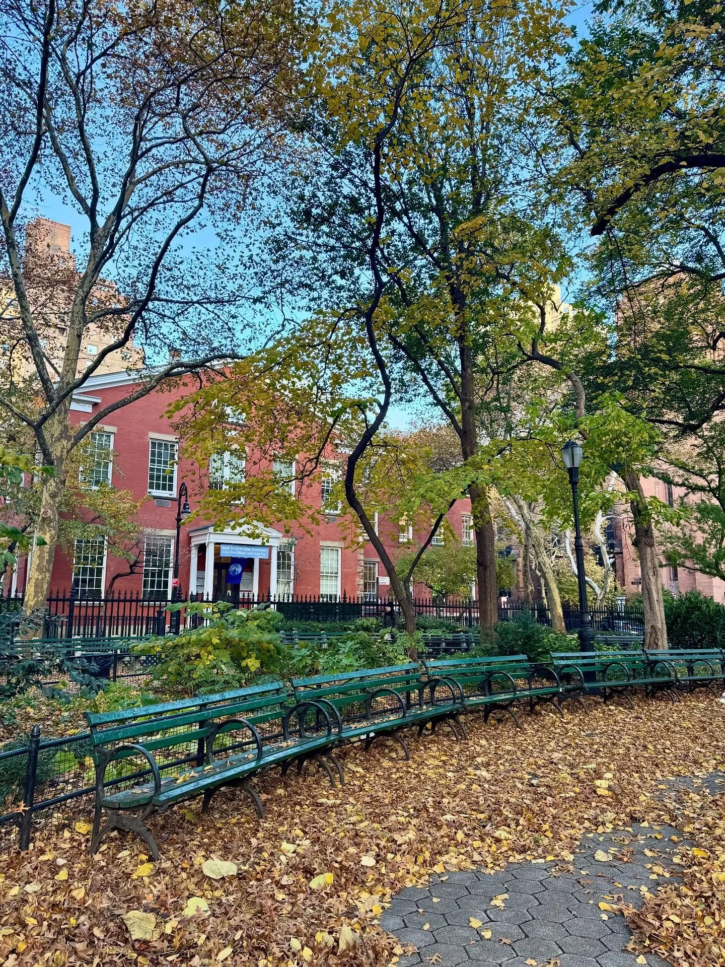 Falling leaves and blooms about the park.
#autumninnewyork🍁🍂🍁